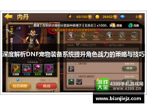 深度解析DNF宠物装备系统提升角色战力的策略与技巧