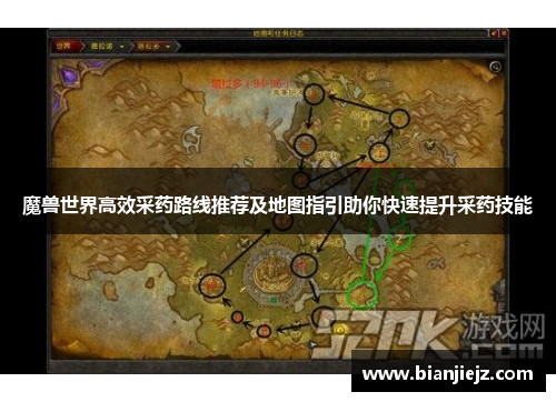 魔兽世界高效采药路线推荐及地图指引助你快速提升采药技能